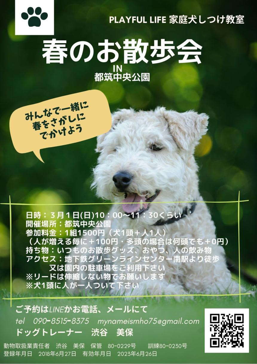 秋のお散歩会 ペットのワンちゃんとお散歩 都筑中央公園 11月17日