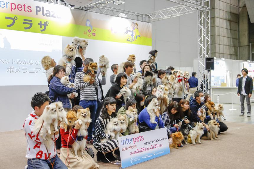 インターペット2019 安い 会場