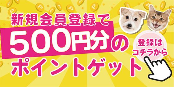 新規会員登録で500ポイントプレゼント